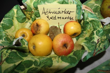 Altmärker Goldrenette