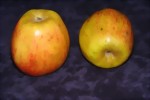 Finkenwerder Herbstprinz (1 kg)