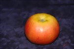 Ontario (1 kg)